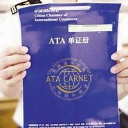 1568858205214068.jpg 辦理ATA單證冊(cè)